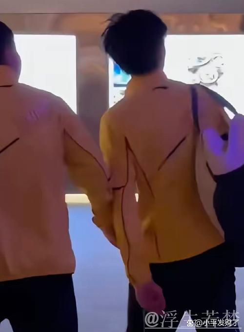 仁川世乒联冠军赛：林高远对决格罗特精彩回顾